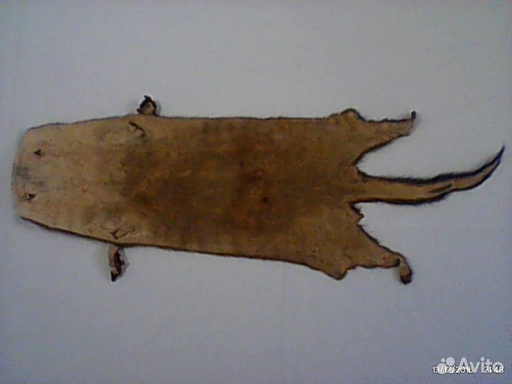 Шкурки лесной норки\\Размером 42x18см\\Цена за 1шт