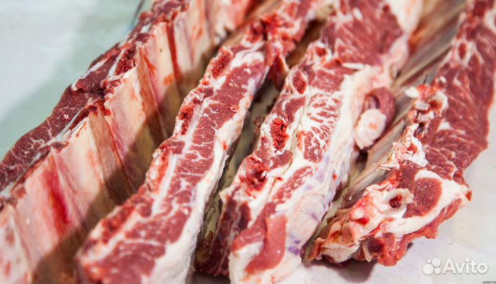 Говядина от производителя