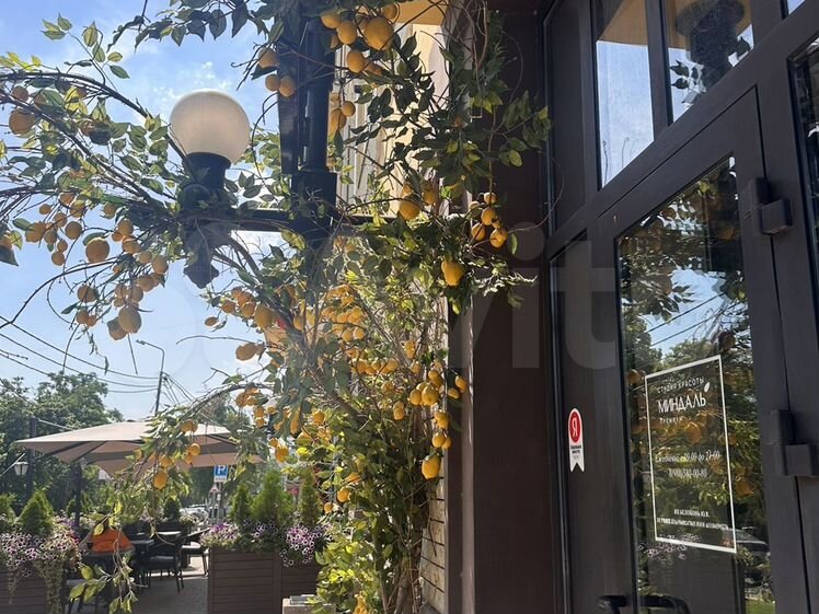 Пушкинская 69 ростов