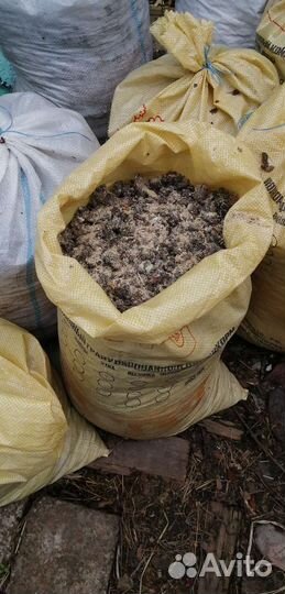 Курный помёт