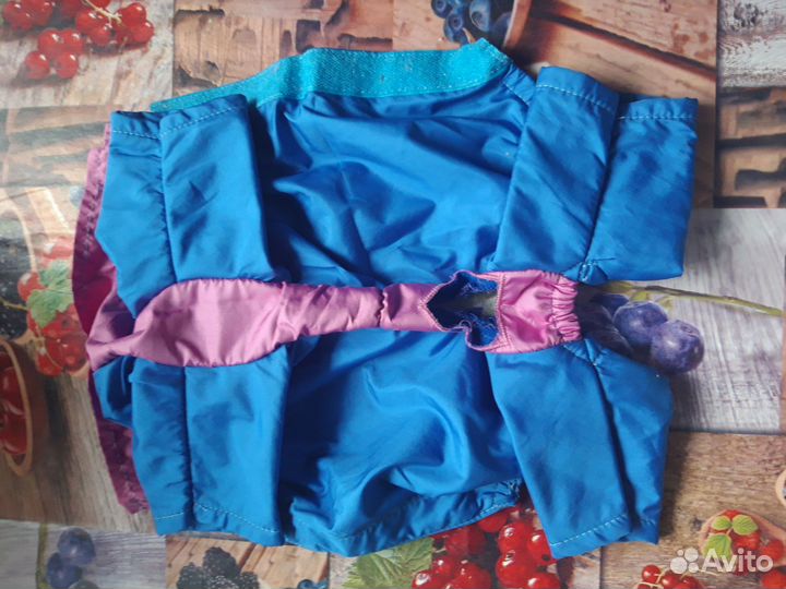 Одежда для мелких собак