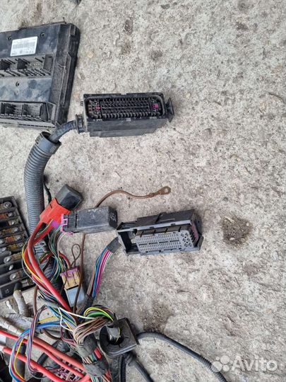 Проводка двигателя и салона на Фольксваген Т-5