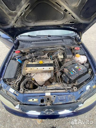 Opel Vectra 2.0 МТ, 1999, 150 000 км