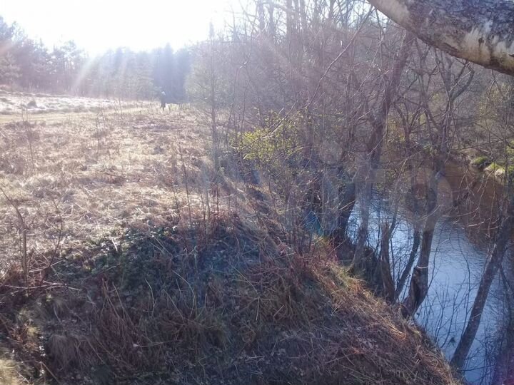 Участок 3 га (СНТ, ДНП)