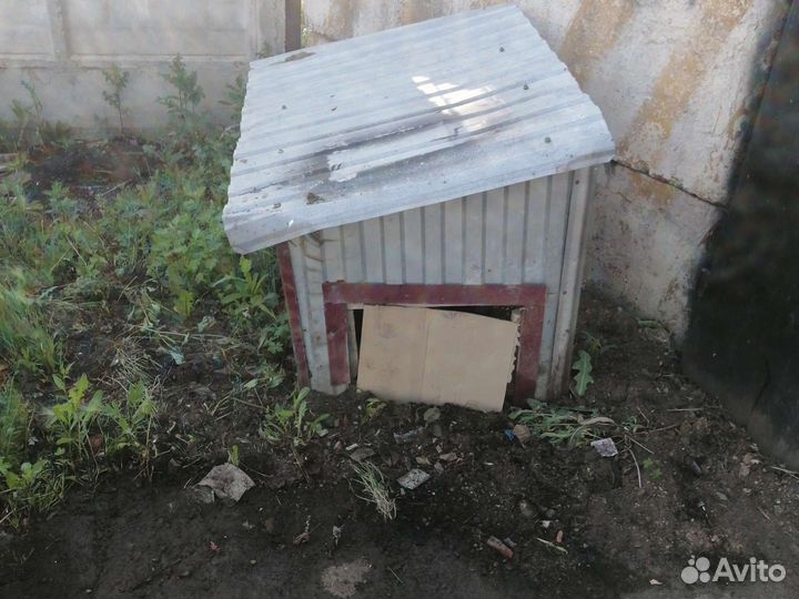 Будка для собаки