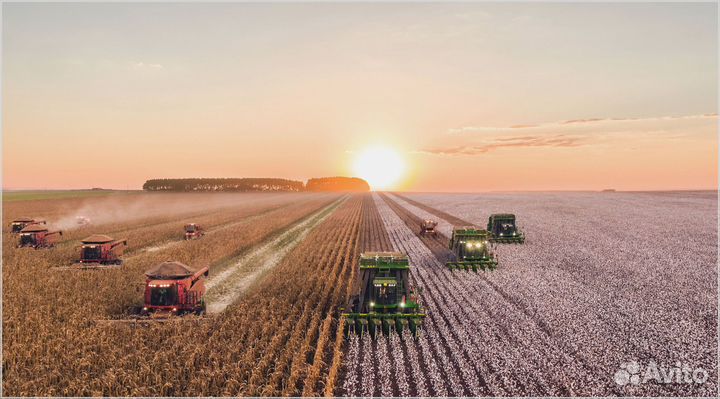 Инвестиции в сельское хозяйство, пассивный доход