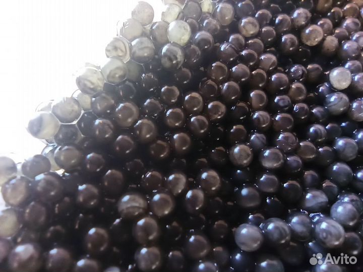 Черная икра