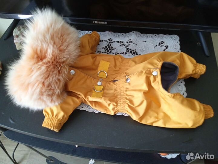 Комбинезоны для маленьких собачек