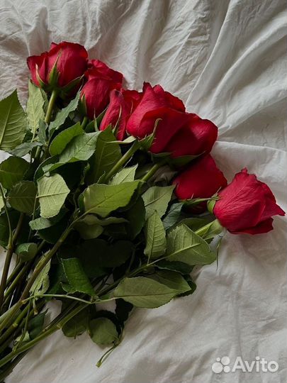 Живые цветы букеты розы