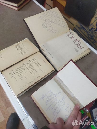 Книга грибы