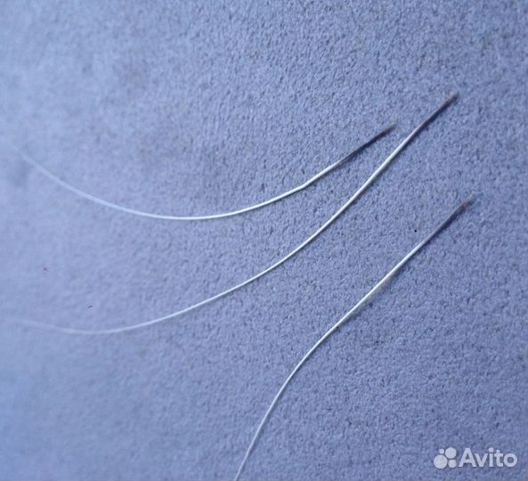 Усы, вибриссы