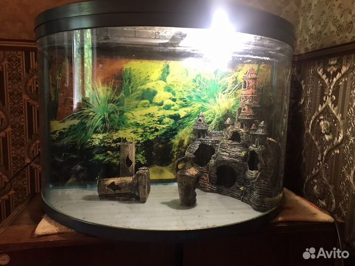 Аквариум jebo r790