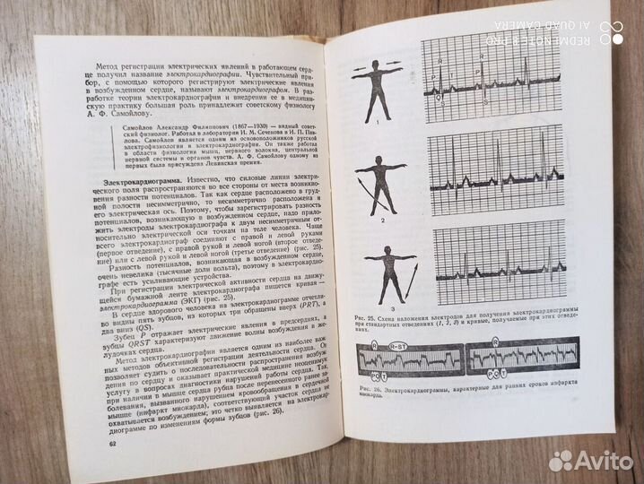 Физиология человека. Уч. пособие по факул. 9-10 кл