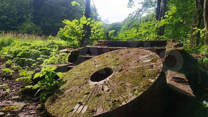 Участок 50 га (СНТ, ДНП)