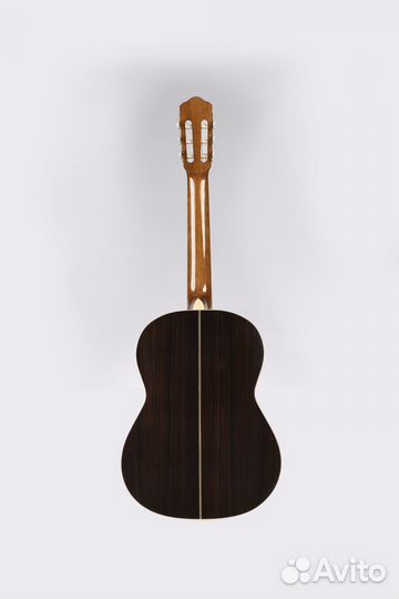Классическая гитара Sevillia DS-130 SNT