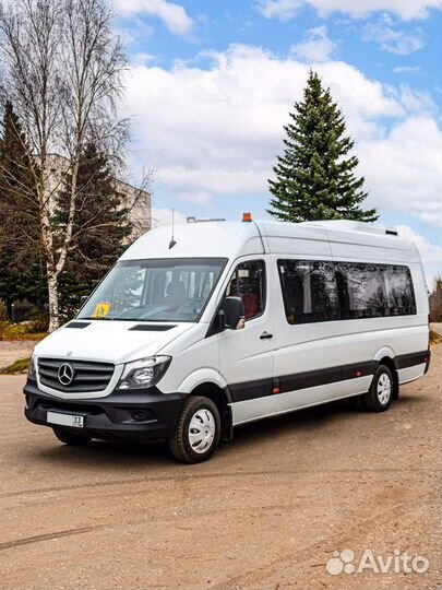 Пассажирские перевозки по России