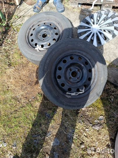 Matador Hectorra 5 195/65 R15