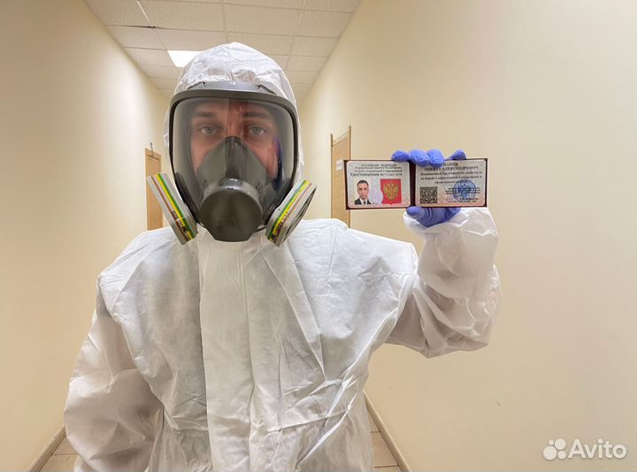 Дератизация, уничтожение грызунов