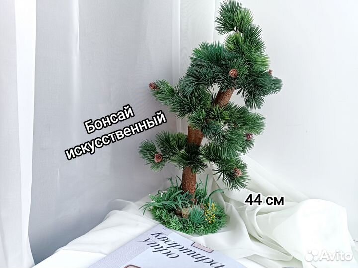 Бонсай сосна