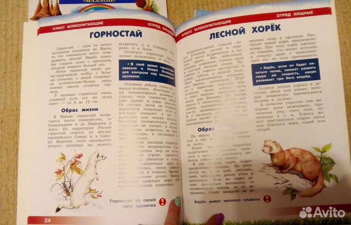 Детские энциклопедии