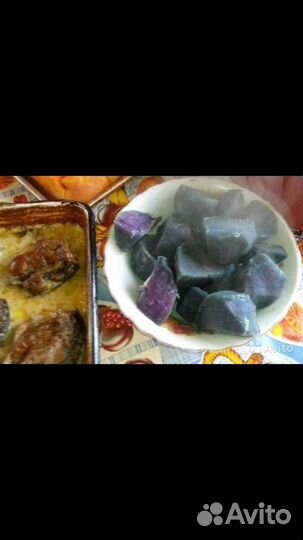 Семена картофеля Негритянка