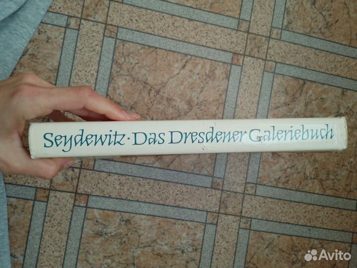 Das Dresdener Galeriebuch