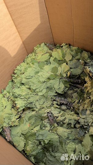 Веники для бани дубовые розница