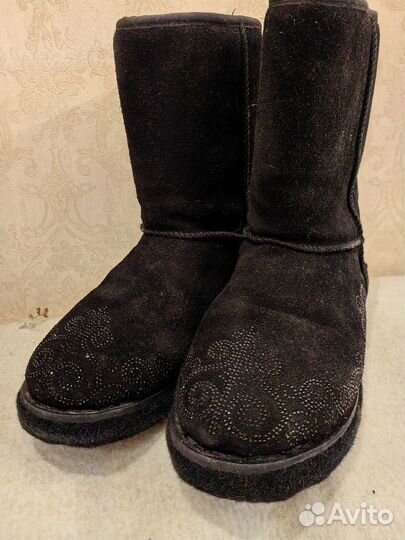 Угри зимние