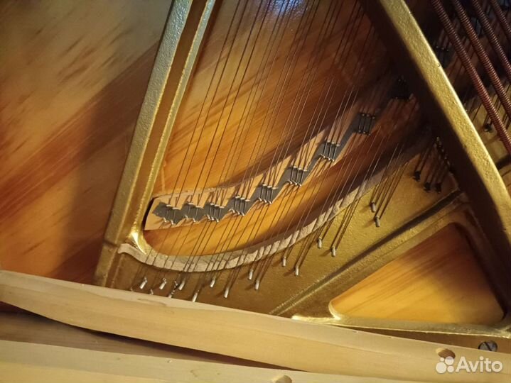 Сюита Ноктюрн настроенное