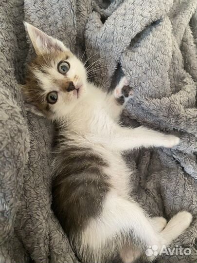 Девочка погибнет на улице