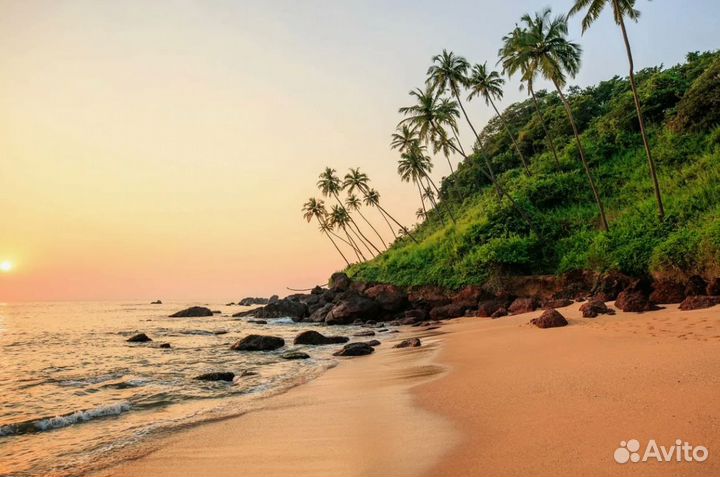 Путешествие гоа на 9 ночей отель 4*, завтраки