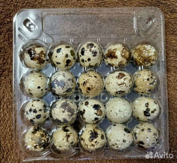 Мясо кролика, домашние перепелиные яйца