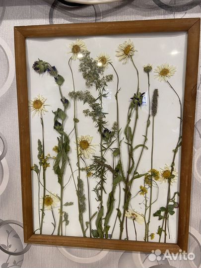 Панно из сухоцветов
