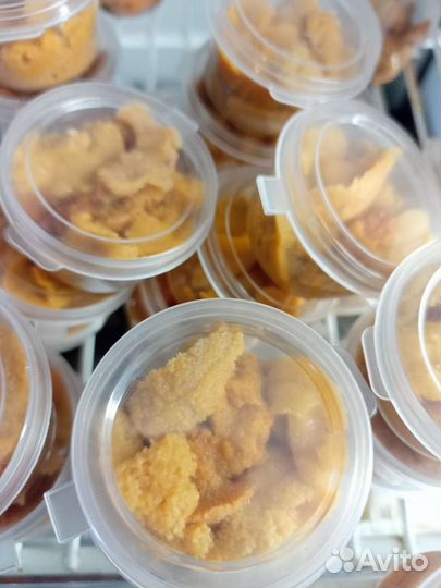 Икра морского ежа