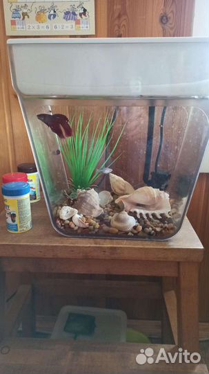 Аквафема аквариум