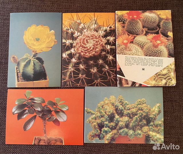 Набор открыток СССР
