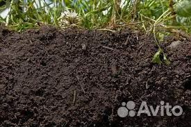 Торфогрунт