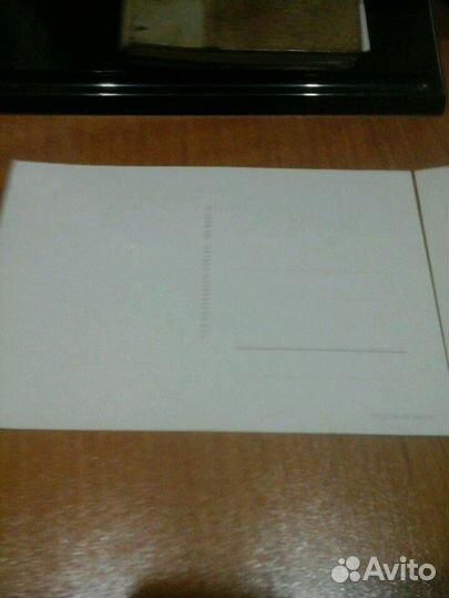 Открытки кошки