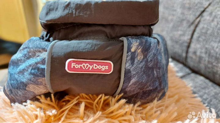 Комбинезон для таксы