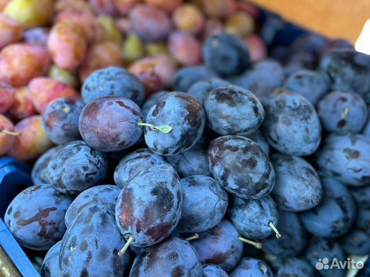 Фрукты и овощи в розницу, оптом с доставкой