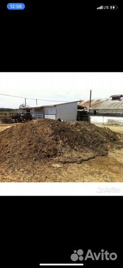 Конский навоз В мешках