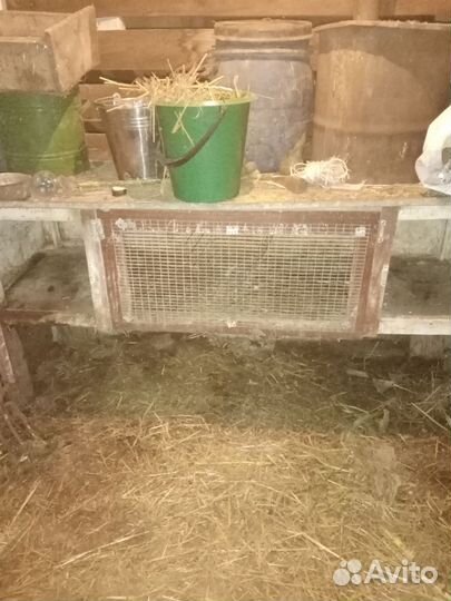 Клетка для кролика