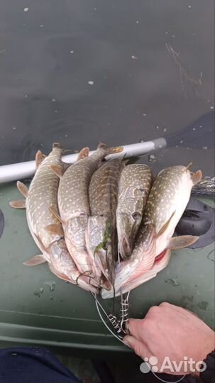 Воблер merial esca 17-M93 Миноуг суспендер ассорти