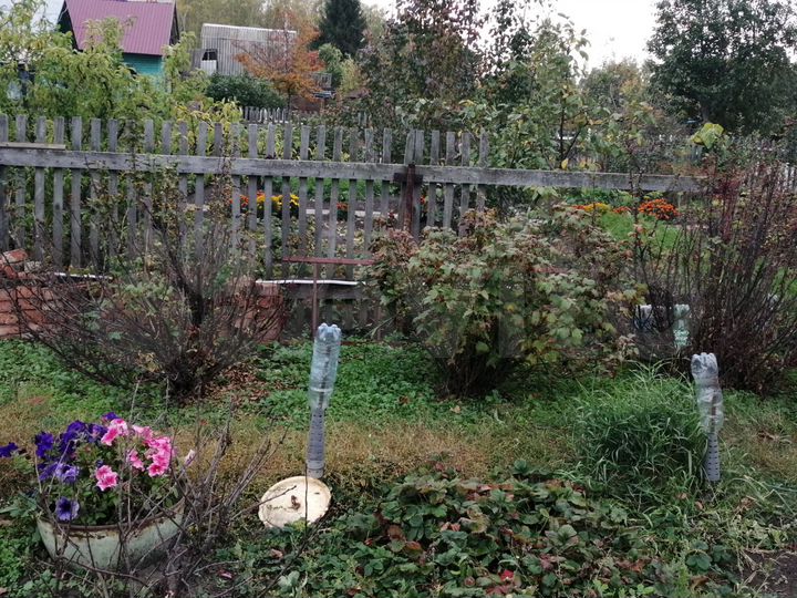 Дача 25 м² на участке 4,2 сот.