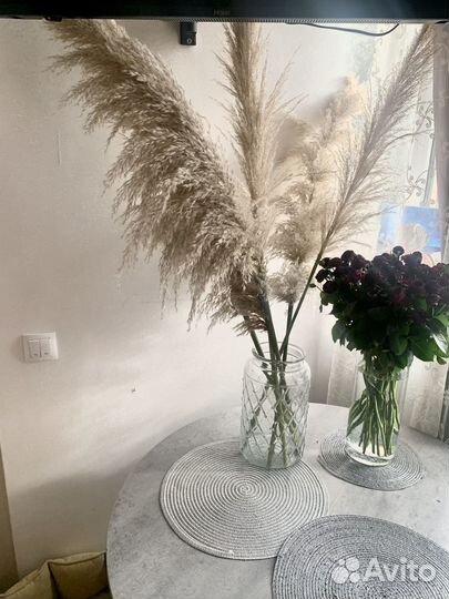 Для интерьера и декора пампасы