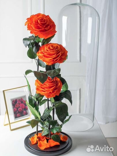 Цветы оптом