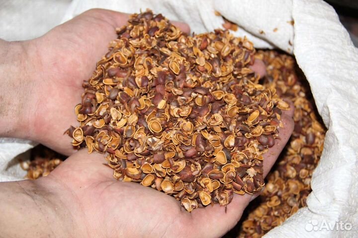 Шелуха кедрового ореха (мульча)