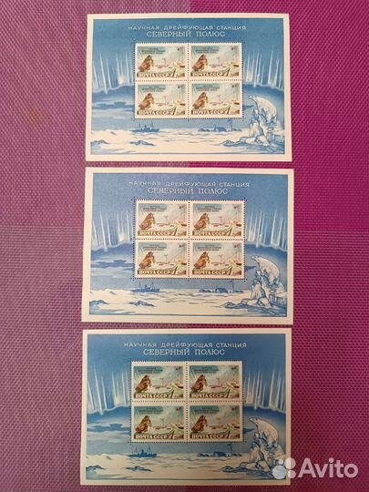 Почтовый блок СССР. 1962 год. Северный полюс -1