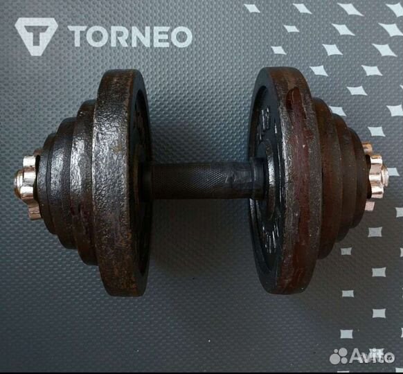 Гантели разборные 20.6кг torneo