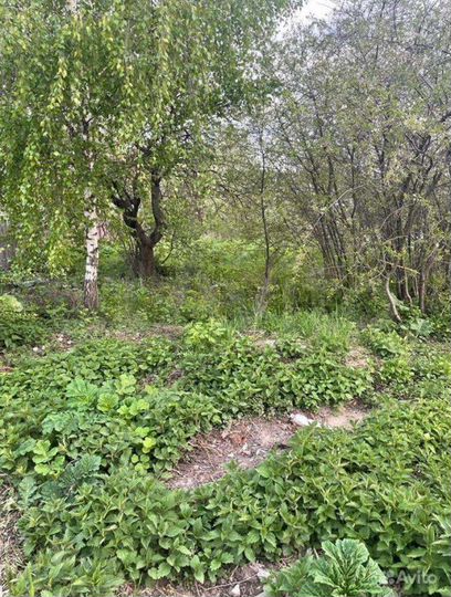 Участок 6 сот. (СНТ, ДНП)